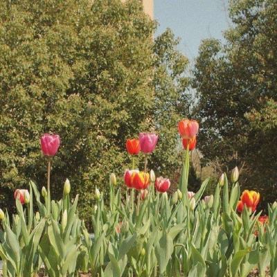 pg麻将胡了下载下载手机版截图