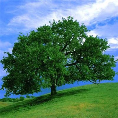 开元游戏大厅网站