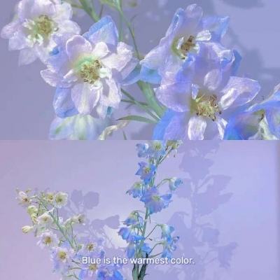 百姓彩票Welcomeapp下载